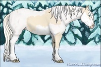 Horse Color:Cremello Splash and Cremello Splash