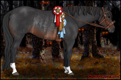 Horse Color:Brown Rabicano  and Brown Rabicano 