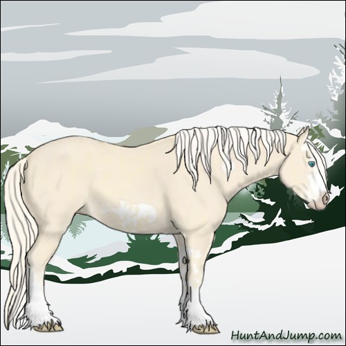 Horse Color:Cremello Splash  and Cremello Splash Frame 