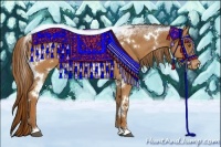 Horse Color:White Spotted Chestnut Appaloosa Rabicano