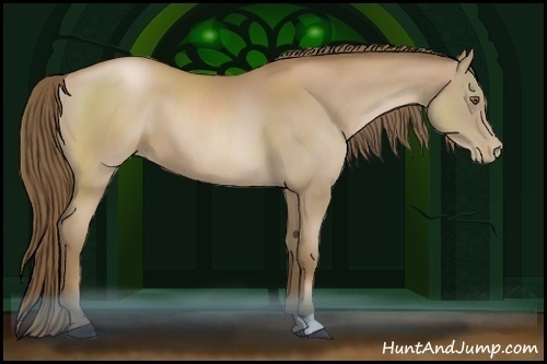 Horse Color:Black Pearl