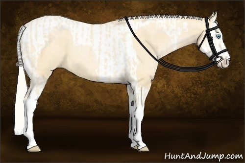 Horse Color:Cremello Splash Tobiano  and Palomino Pearl Splash Tobiano 