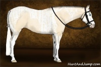 Horse Color:Cremello Splash Tobiano and Palomino Pearl Splash Tobiano