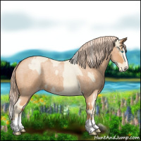 Horse Color:Cremello Roan Splash and Gray Cremello Roan Splash