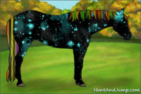 Horse Color:ERROR: UNKNOWN ANOMALY and ERROR: UNKNOWN ANOMALY