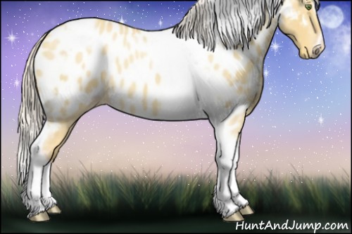 Horse Color:Silver Amber Champagne Roan Dun Splash Tobiano Frame Near Leopard Rabicano