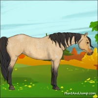 Horse Color:Bay Roan Dun 