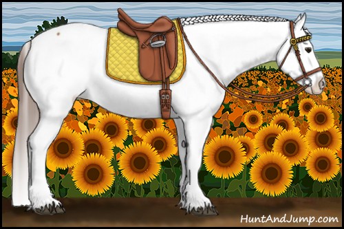 Horse Color:Bay Snowcap 