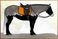 Horse Color:White Spotted Grullo Sabino Splash 