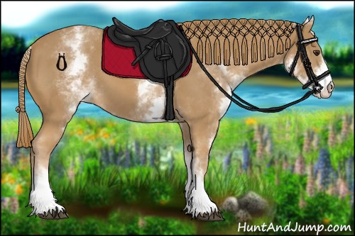 Horse Color:White Spotted Chestnut 