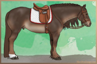 Horse Color:Liver Chestnut 