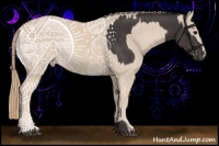 Horse Color:Smoky Black  and Smoky Creme 