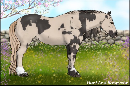 Horse Color:Smoky Black and Smoky Creme
