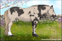 Horse Color:Smoky Black  and Smoky Creme 
