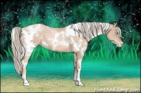 Horse Color:White Spotted Chocolate Palomino Pearl 