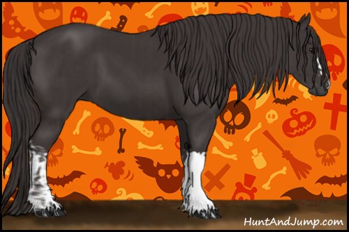 Horse Color:Smoky Black and Smoky Black