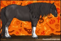 Horse Color:Smoky Black and Smoky Black