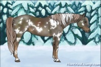 Horse Color:White Spotted Chocolate Palomino