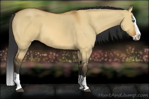 Horse Color:Bay Dun Splash 