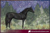 Horse Color:Smoky Black  and Gray Smoky Black 