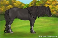 Horse Color:Smoky Black  and Smoky Black 