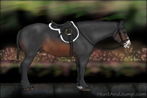 Horse Color:Brown Frame Rabicano 