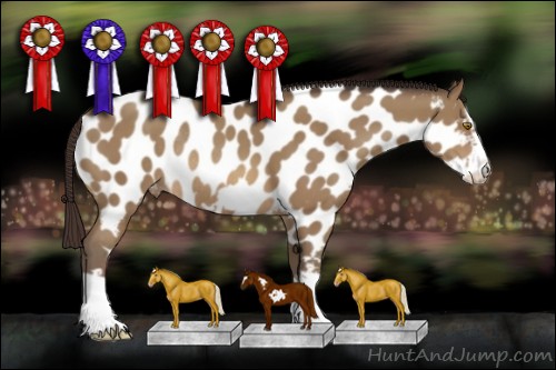 Horse Color:Sable Champagne Splash Frame Appaloosa Rabicano 