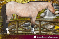 Horse Color:Bay Ice Roan Dun 