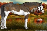Horse Color:Buckskin Splash  and Chocolate Palomino Splash 