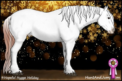 Horse Color:Brown Appaloosa  and Brown Splash Appaloosa 