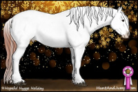 Horse Color:Brown Appaloosa and Brown Splash Appaloosa