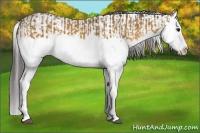 Horse Color:Buckskin Splash  and Buckskin Splash 