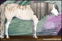 Horse Color:Buckskin Splash and Perlino Splash