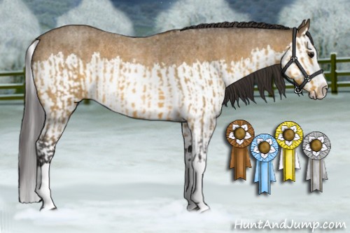 Horse Color:Buckskin Roan Splash  and Buckskin Roan Splash 