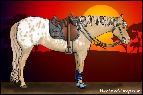 Horse Color:Palomino Roan Appaloosa
