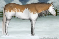 Horse Color:Buckskin Splash  and Silver Buckskin Splash 