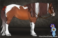 Horse Color:Chocolate Bay Splash Tobiano