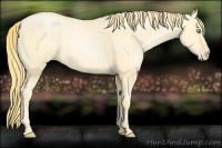 Horse Color:Buckskin Roan Pearl and Buckskin Roan Pearl