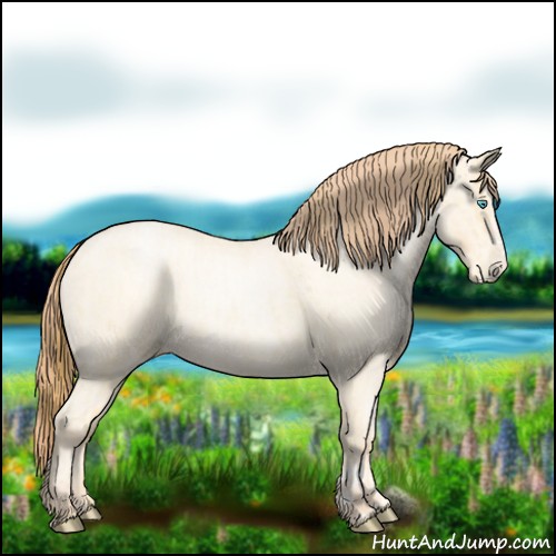 Horse Color:Buckskin Roan Pearl  and Amber Cream Champagne Roan Pearl 