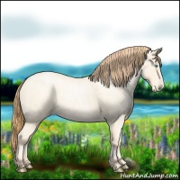 Horse Color:Buckskin Roan Pearl  and Amber Cream Champagne Roan Pearl 