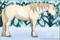 Horse Color:Buckskin Roan Pearl  and Buckskin Roan Pearl Splash 