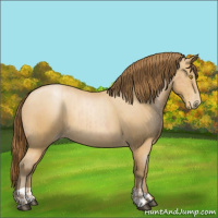 Horse Color:Bay Roan Pearl  and Gray Buckskin Roan Pearl 
