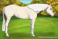 Horse Color:Cremello 