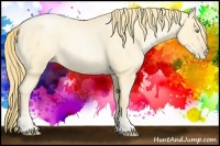 Horse Color:Buckskin Roan Pearl and Buckskin Roan Pearl
