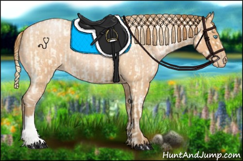 Horse Color:Buckskin Roan Pearl  and Bay Roan Pearl 