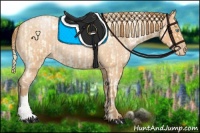 Horse Color:Buckskin Roan Pearl  and Bay Roan Pearl 