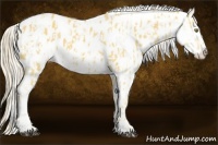 Horse Color:Palomino Leopard  and Palomino Leopard 