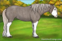 Horse Color:Silver Blue Roan Splash