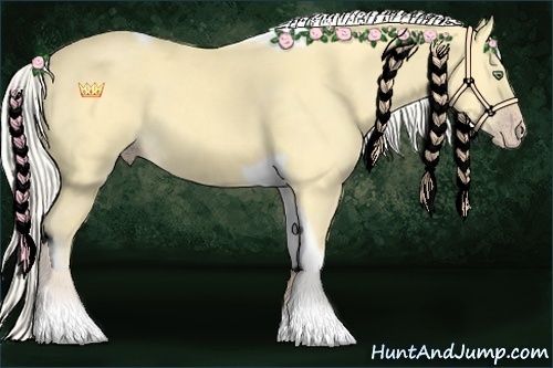 Horse Color:Silver Amber Cream Champagne Tobiano Rabicano 