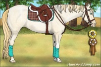 Horse Color:Buckskin Roan Pearl Dun and Buckskin Roan Pearl Dun Tobiano
